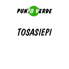 TOSASIEPI