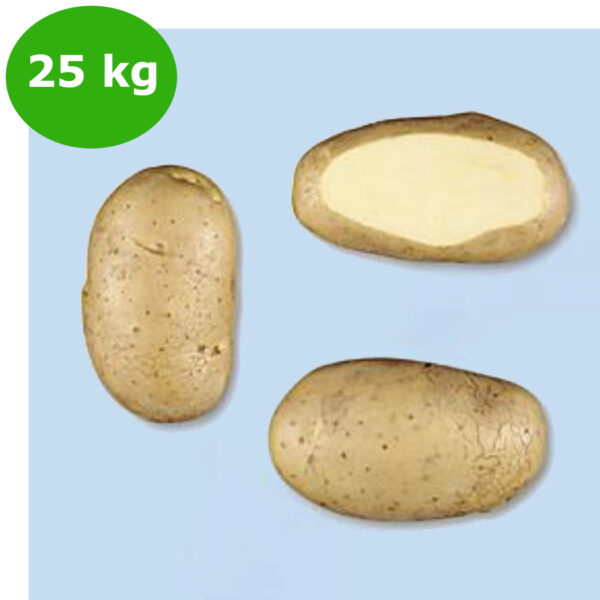 PATATE CICERO DA 25 kg 35/55 NL A""