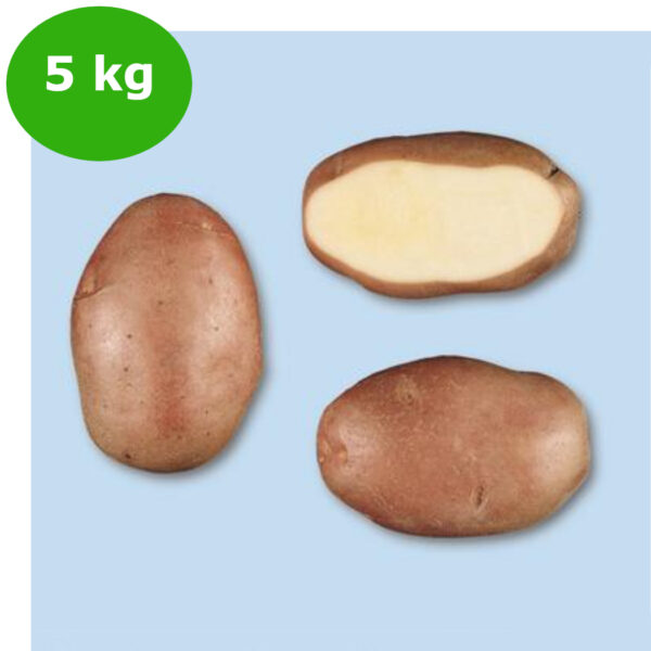 PATATE DESIREE DA 5 kg 35/45 OL A""