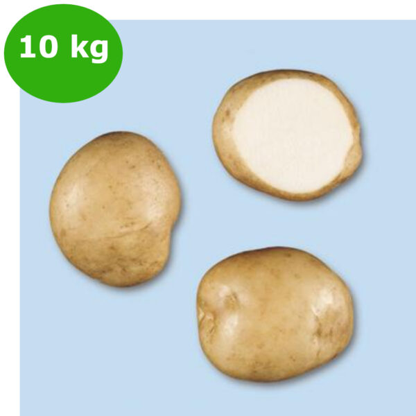 PATATE KENNEBEK DA 10 kg 35/50 BE A""