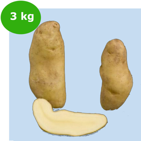 PATATE CORNETTE RATTE 32/40 FR DA 1 kg