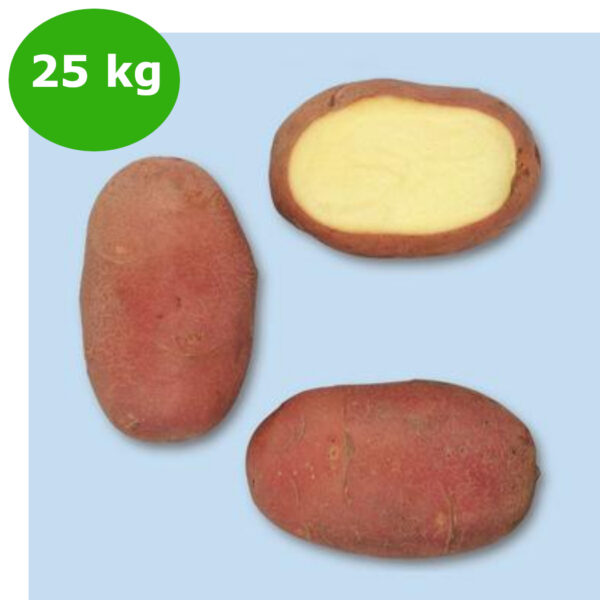 PATATE RED SCARLETT DA 25kg 35/55 OL A""