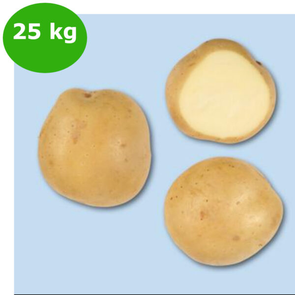 PATATE SIFRA DA 25 kg 35/55 OL A""