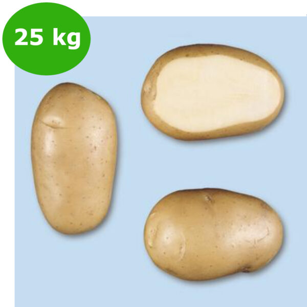 PATATE VIVALDI DA 25 kg 35/45 OL A""